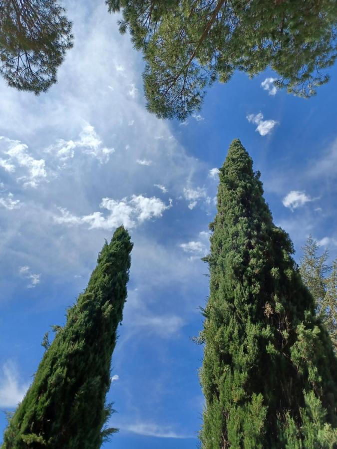 Villa Poggio Fagianino Sant'Albino Dış mekan fotoğraf